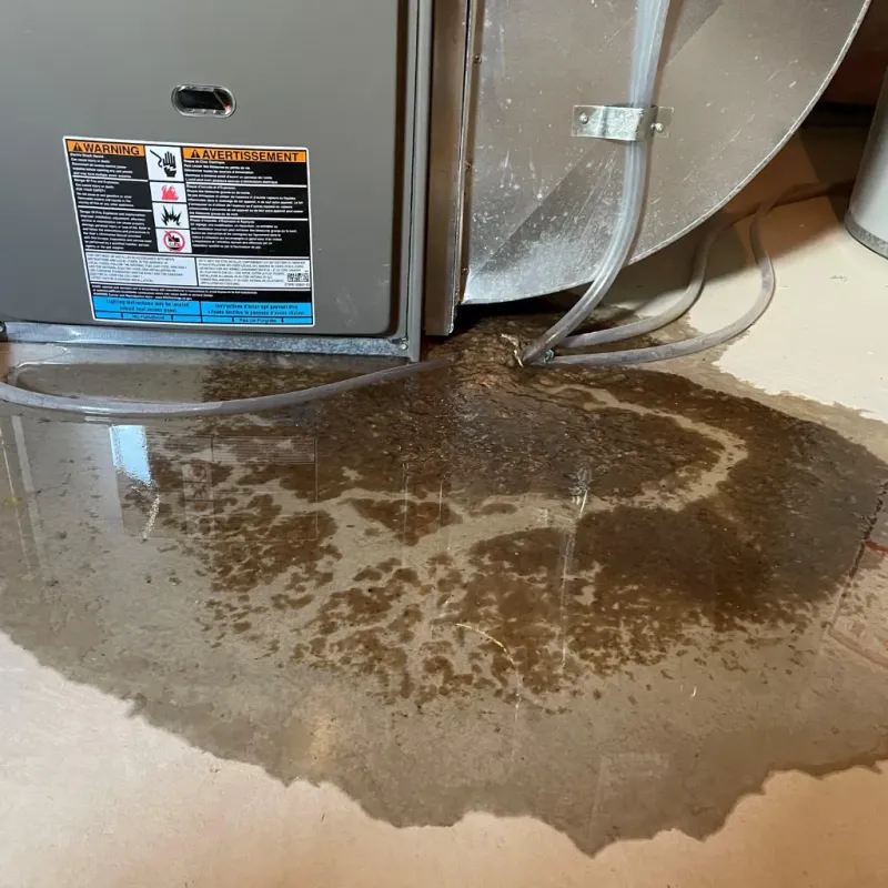 Appliance Leak Cleanup in Woodville, WI